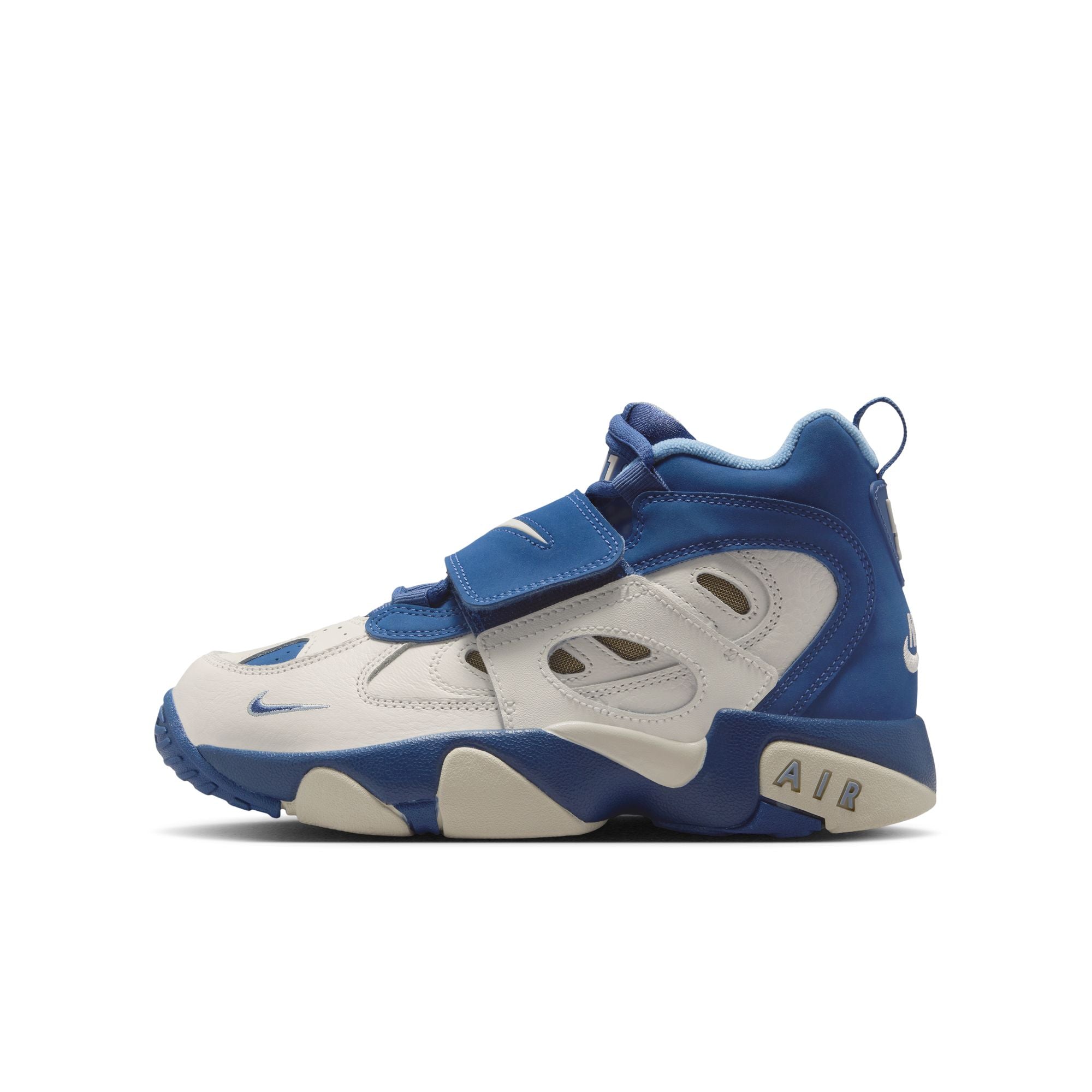 NIKE CHRONICLE & Blue RIBBONS 2冊セット Nike Air Diamond Turf II 
