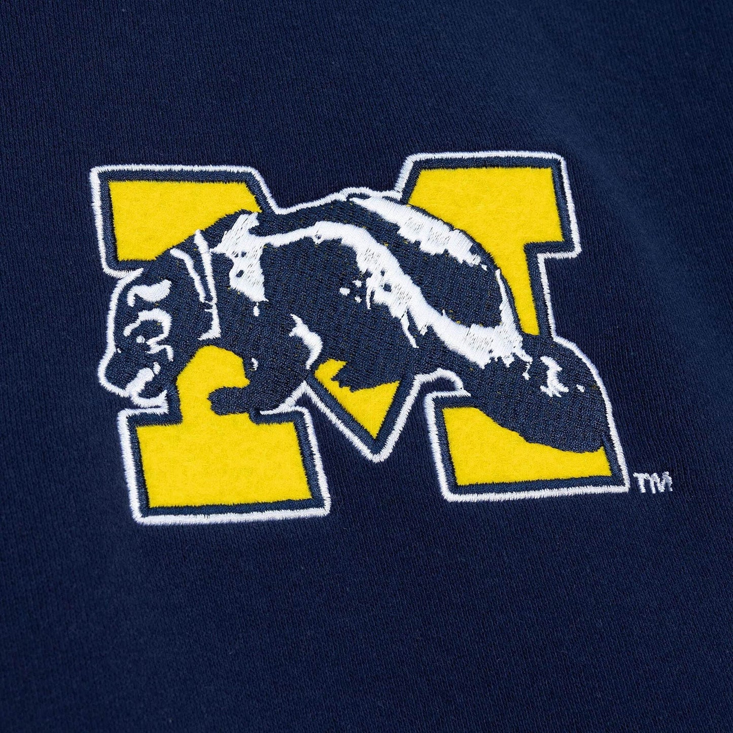 Mitchell & Ness City Collection Hoodie - Michigan