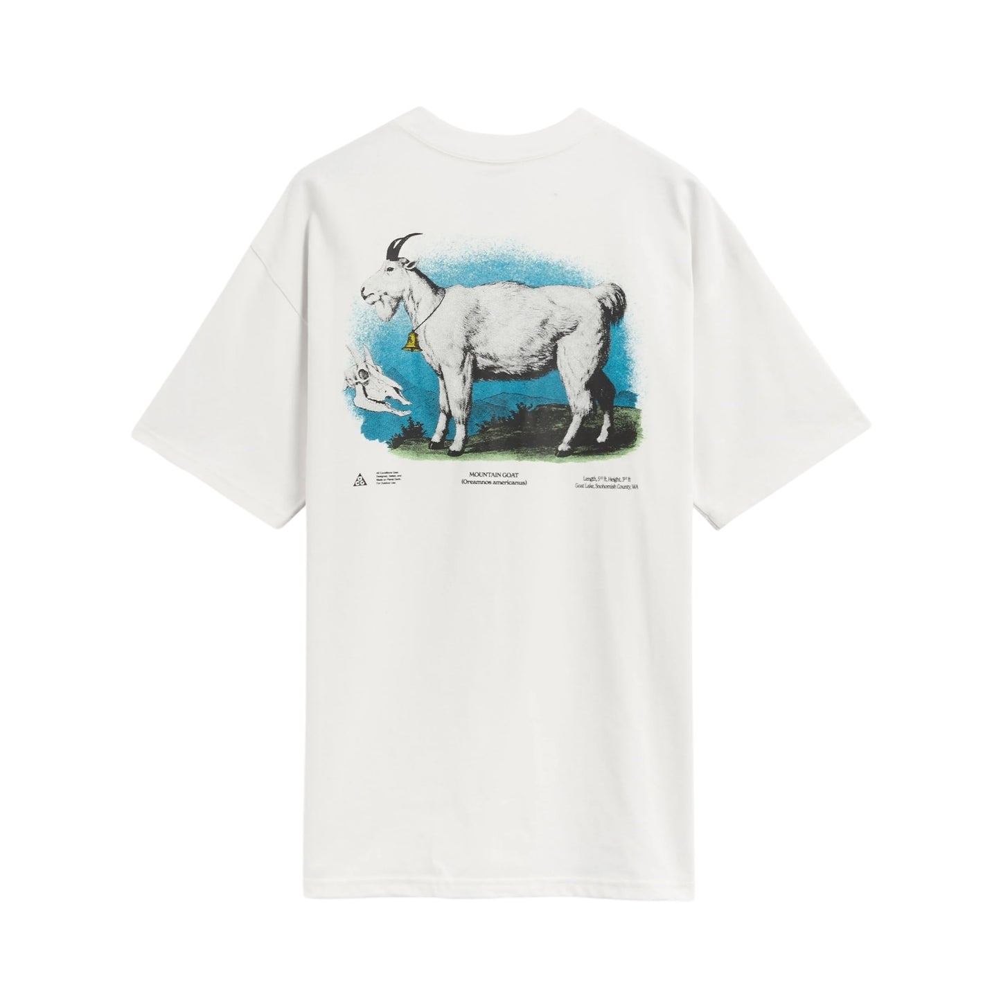 Nike ACG Goat Tee - FV3492-121