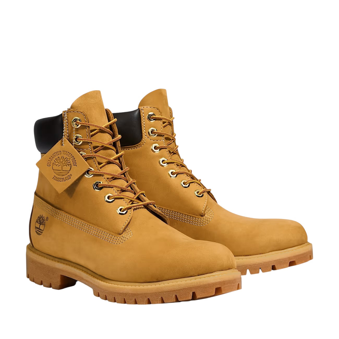 Timberland 6” Premium Boot - TB110061713