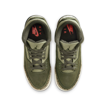 Air Jordan 3 Retro "Family Affair" (GS) - DM0967-202