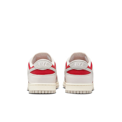 Nike Dunk Low Retro - HJ9093-030