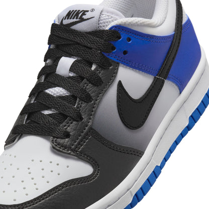 Nike Dunk Low (GS) - HJ9209-400