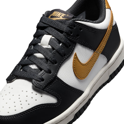 Nike Dunk Low GS - HV2533-100