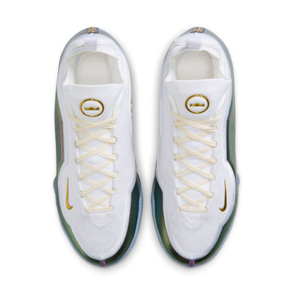 Nike Lebron XXIII Elite "For The Record" - IB9557-100