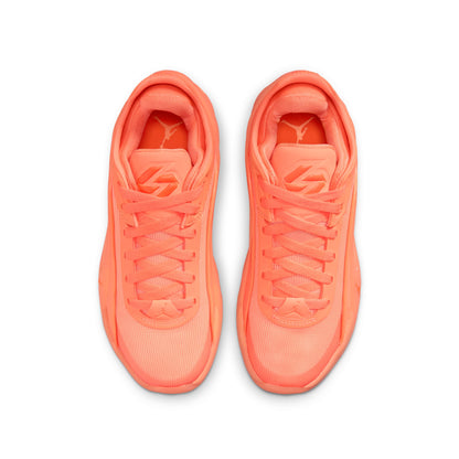 Jordan Luka 5 (GS) - IM5166-800