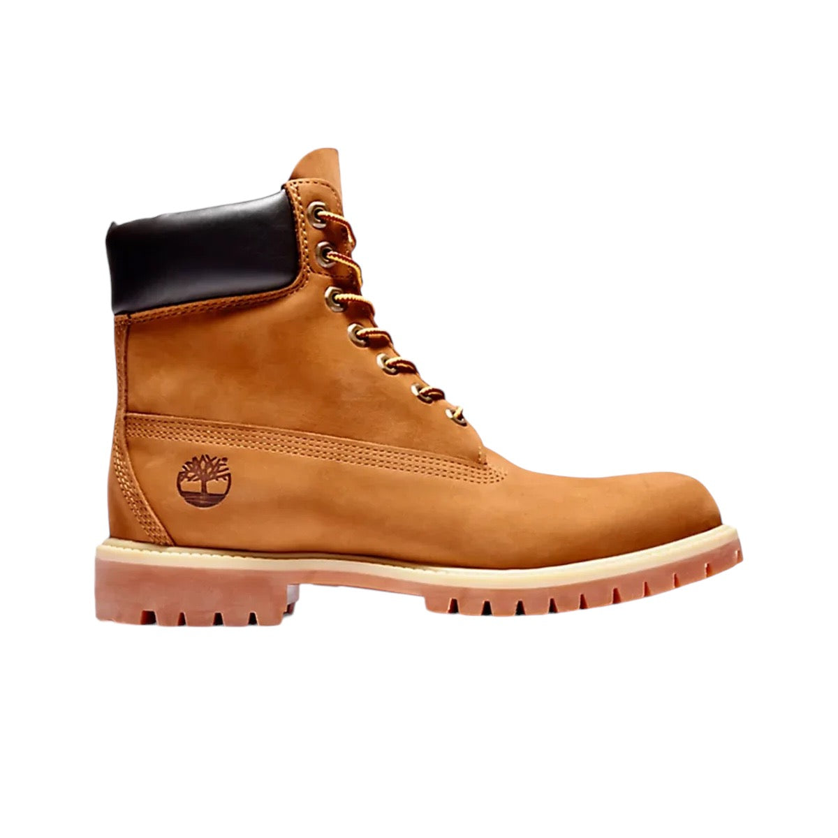 Timberland Premium 6” Boot (Rust) - TB072066827