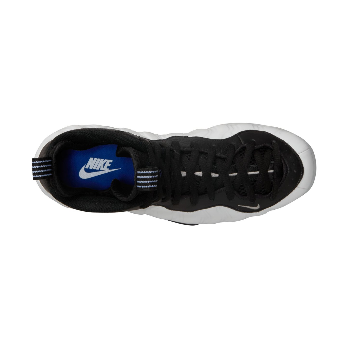 Nike Air Foamposite One PE - DV0815-100